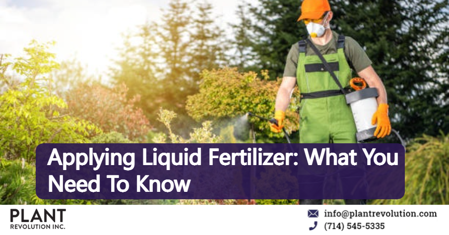Applying Liquid Fertilizer: What You Need To Know