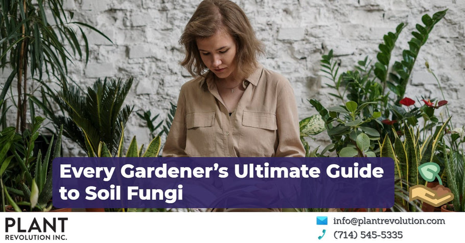 Every Gardener’s Ultimate Guide to Soil Fungi