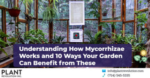 #12 - Understanding How Mycorrhizae Works