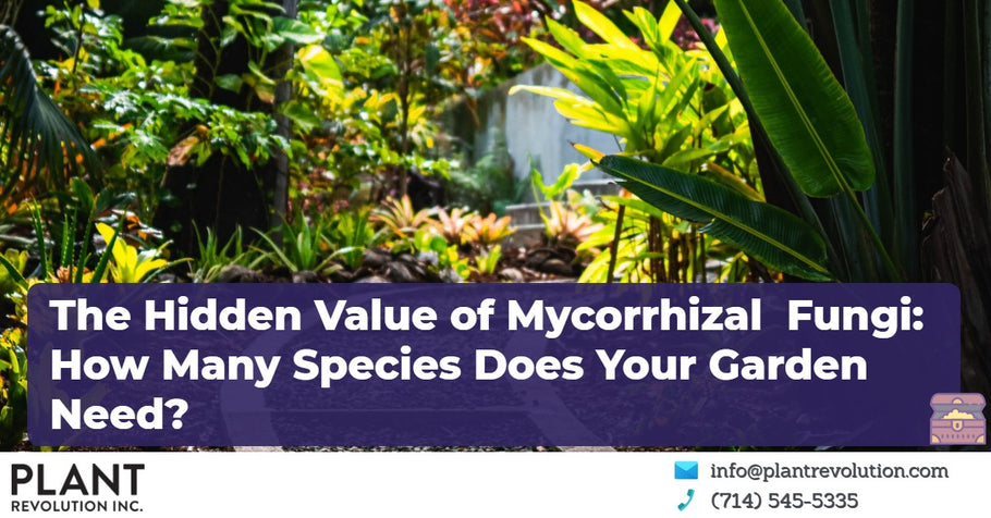 The Hidden Value of Mycorrhizal Fungi: How Many Species Does Your Garden Need?