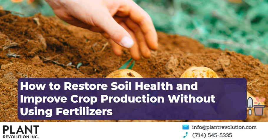 How to Restore Soil Health and Improve Crop Production Without Using Fertilizers