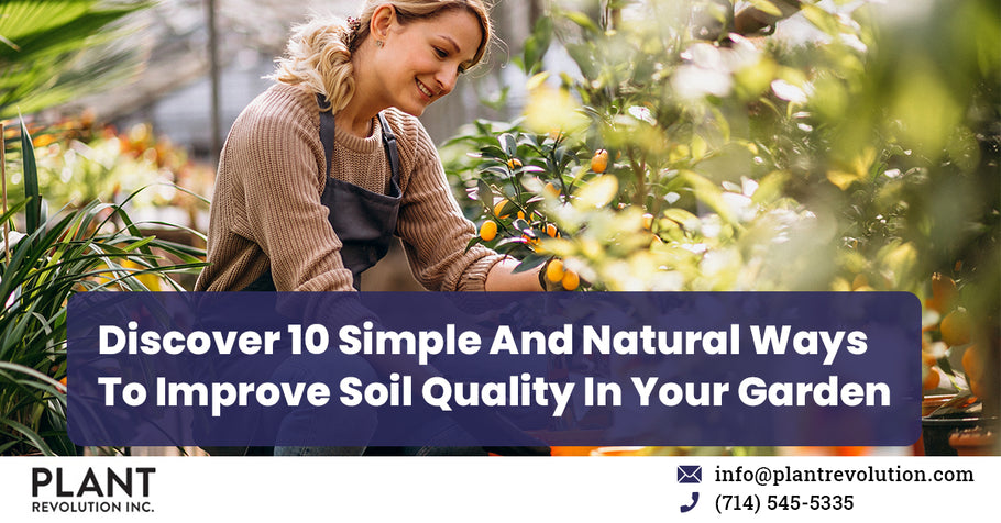 Discover 10 Simple and Natural Ways to Improve Soil Quality in Your Garden