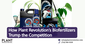 plant-revolution's-biofertilizers-trump-competition