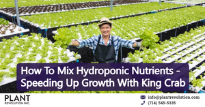 How To Mix Hydroponic Nutrients - Speeding Up Growth With King Crab